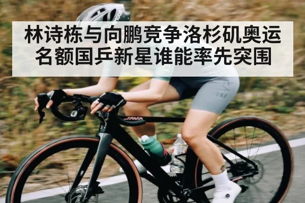 林诗栋与向鹏竞争洛杉矶奥运名额国乒新星谁能率先突围